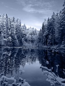 Preview wallpaper lake, forest, snow, winter, landscape, beauty