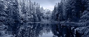 Preview wallpaper lake, forest, snow, winter, landscape, beauty