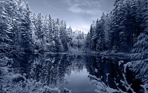 Preview wallpaper lake, forest, snow, winter, landscape, beauty