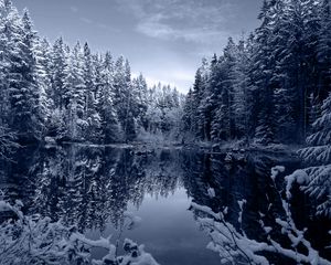 Preview wallpaper lake, forest, snow, winter, landscape, beauty