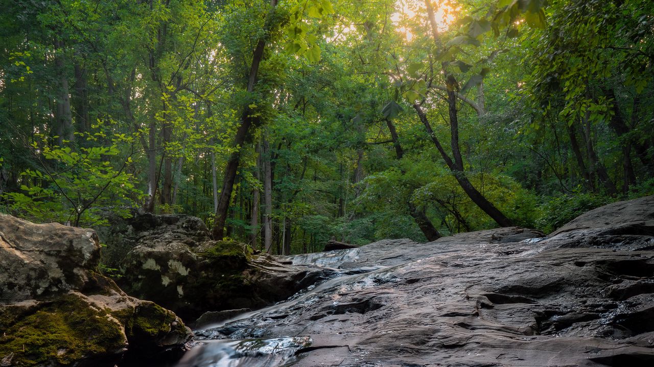 Wallpaper lake, forest, stones, rocks, reflection hd, picture, image