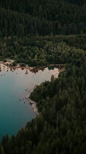 Preview wallpaper lake, forest, trees, top view