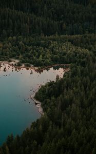 Preview wallpaper lake, forest, trees, top view