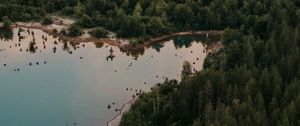 Preview wallpaper lake, forest, trees, top view