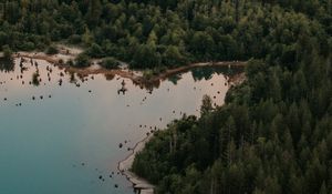 Preview wallpaper lake, forest, trees, top view