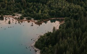 Preview wallpaper lake, forest, trees, top view