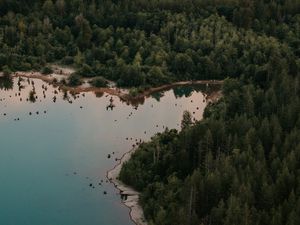 Preview wallpaper lake, forest, trees, top view