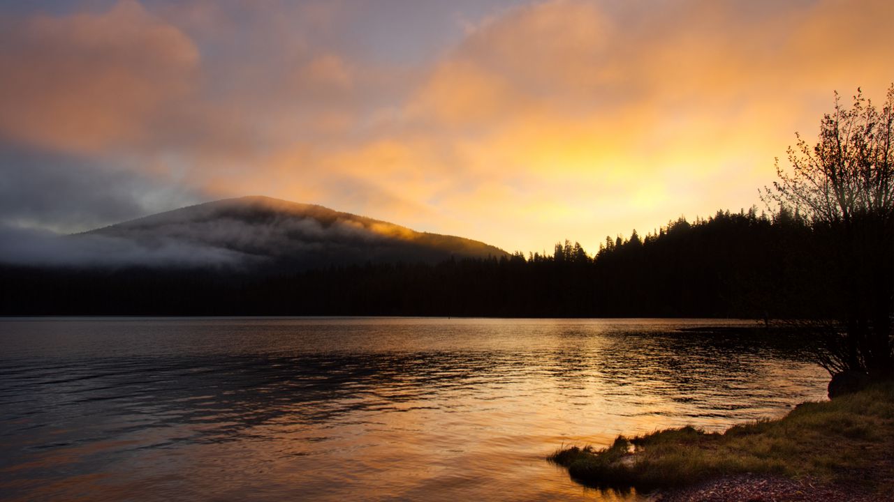 Wallpaper lake, forest, trees, sunset, dark