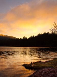 Preview wallpaper lake, forest, trees, sunset, dark