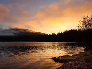 Preview wallpaper lake, forest, trees, sunset, dark