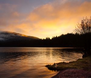 Preview wallpaper lake, forest, trees, sunset, dark