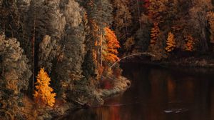 Preview wallpaper lake, forest, trees, landscape, autumn