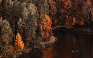 Preview wallpaper lake, forest, trees, landscape, autumn