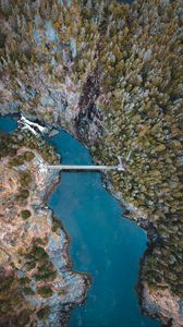 Preview wallpaper lake, forest, trees, aerial view, bridge