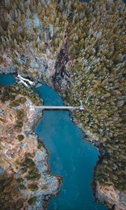 Preview wallpaper lake, forest, trees, aerial view, bridge