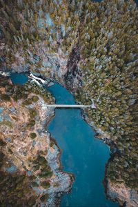 Preview wallpaper lake, forest, trees, aerial view, bridge