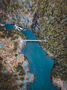 Preview wallpaper lake, forest, trees, aerial view, bridge