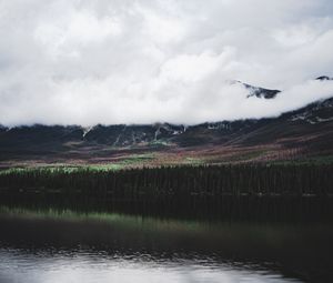 Preview wallpaper lake, forest, trees, mountains, clouds, reflection