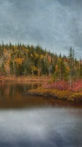 Preview wallpaper lake, forest, trees, autumn, landscape
