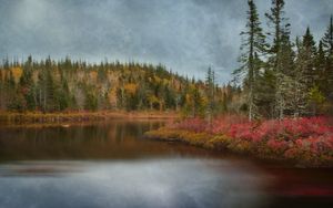 Preview wallpaper lake, forest, trees, autumn, landscape