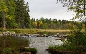 Preview wallpaper lake, forest, trees, autumn, stone