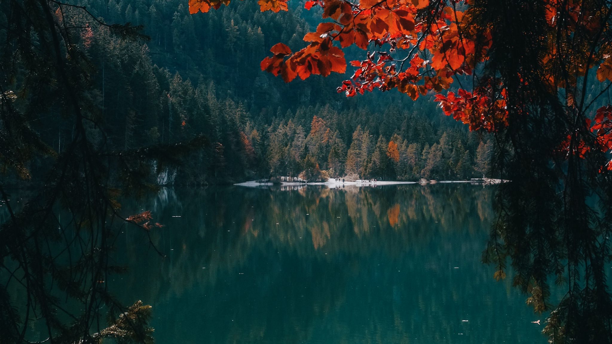 Download wallpaper 2048x1152 lake, forest, trees, branches, water