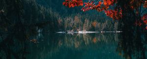 Preview wallpaper lake, forest, trees, branches, water