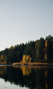 Preview wallpaper lake, forest, trees, water, reflection