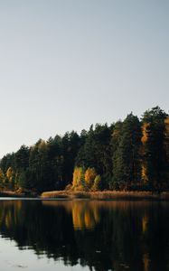 Preview wallpaper lake, forest, trees, water, reflection