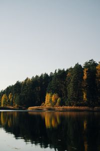 Preview wallpaper lake, forest, trees, water, reflection