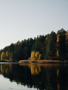 Preview wallpaper lake, forest, trees, water, reflection
