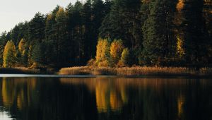Preview wallpaper lake, forest, trees, water, reflection
