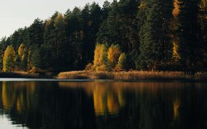 Preview wallpaper lake, forest, trees, water, reflection