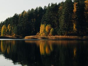 Preview wallpaper lake, forest, trees, water, reflection