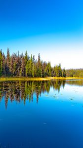 Preview wallpaper lake, forest, trees, reflection, landscape