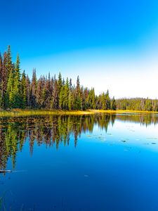 Preview wallpaper lake, forest, trees, reflection, landscape