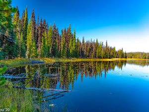 Preview wallpaper lake, forest, trees, reflection, landscape