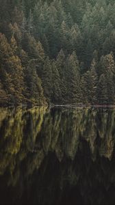 Preview wallpaper lake, forest, trees, reflection