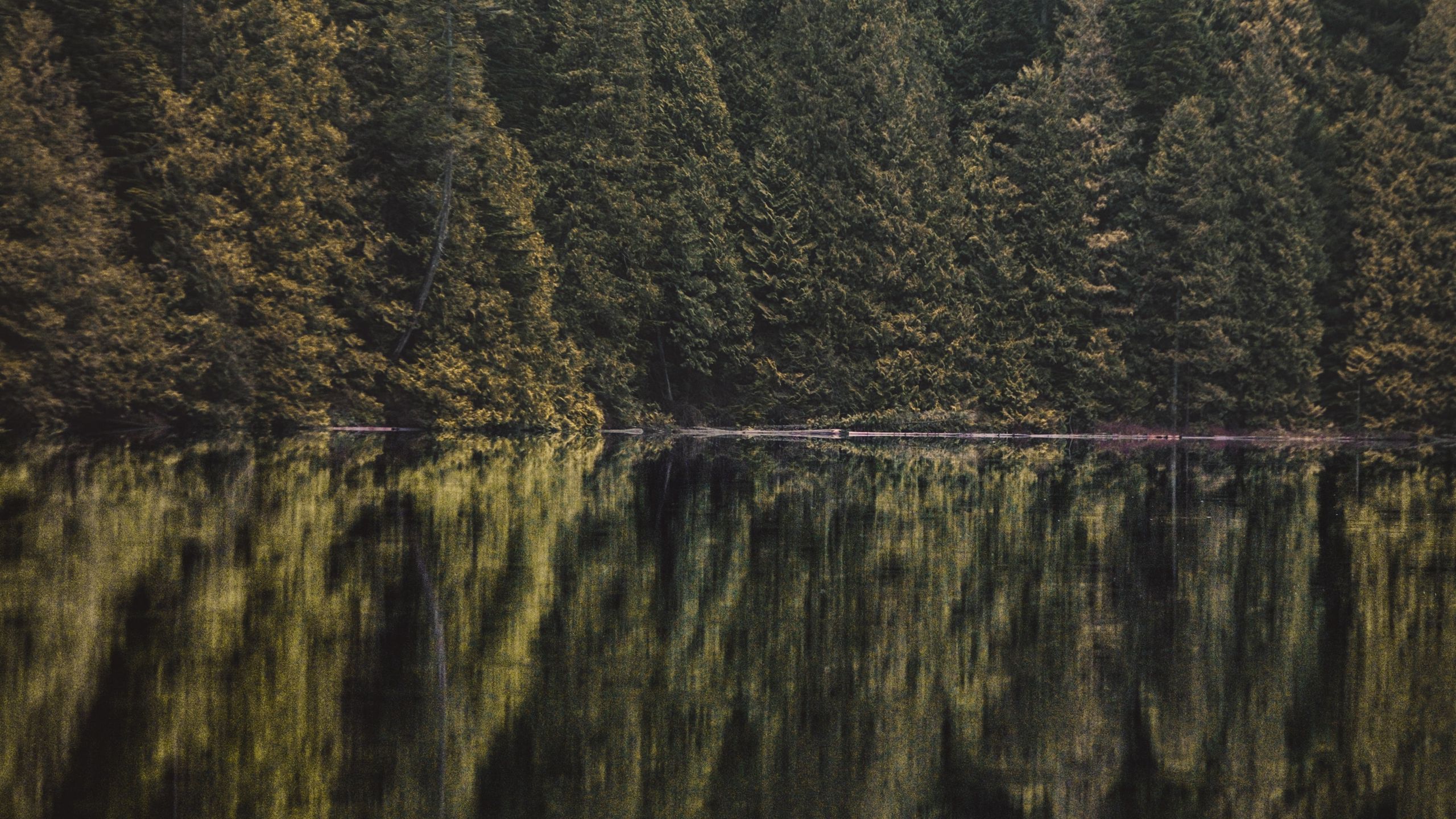 Download wallpaper 2560x1440 lake, forest, trees, reflection widescreen