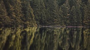 Preview wallpaper lake, forest, trees, reflection