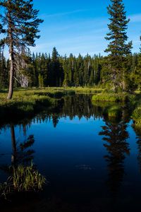 Preview wallpaper lake, forest, trees, water, landscape