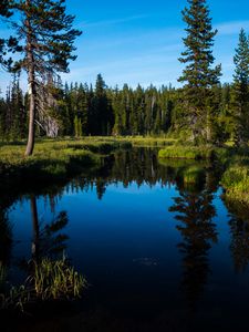 Preview wallpaper lake, forest, trees, water, landscape