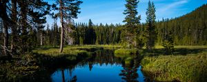 Preview wallpaper lake, forest, trees, water, landscape