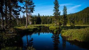 Preview wallpaper lake, forest, trees, water, landscape