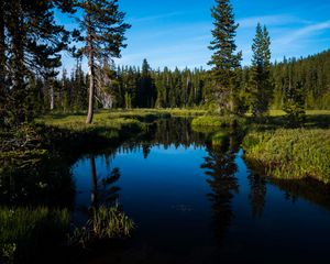 Preview wallpaper lake, forest, trees, water, landscape