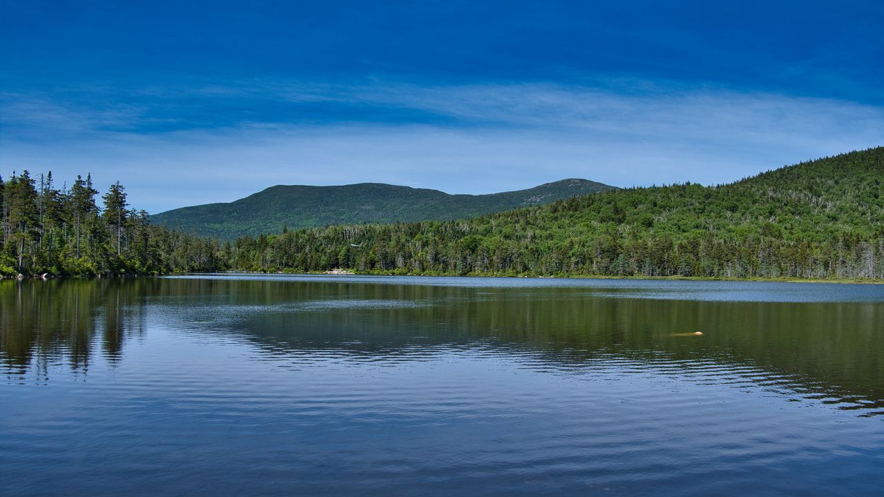 Wallpaper lake, forest, trees, landscape, nature