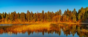 Preview wallpaper lake, forest, trees, nature, landscape