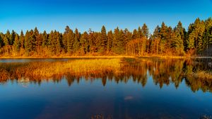 Preview wallpaper lake, forest, trees, nature, landscape