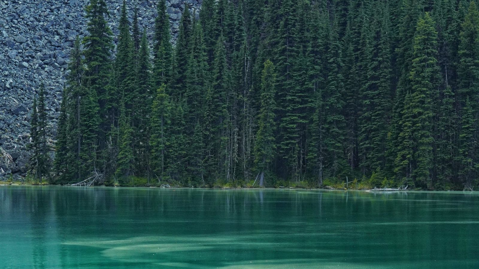 Download wallpaper 1600x900 lake, forest, trees, stones widescreen 16:9 ...