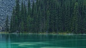 Preview wallpaper lake, forest, trees, stones